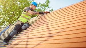 Best Roof Moss and Algae Removal  in Pinckney, MI