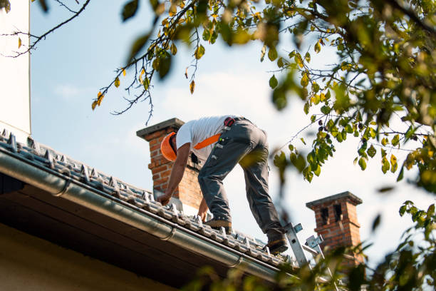 Reliable Pinckney, MI Roofing Service Solutions