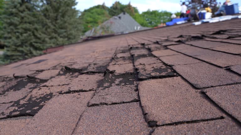 Best Steel Roofing  in Pinckney, MI