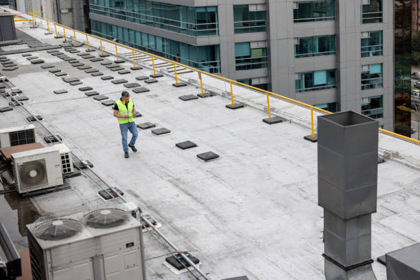 Best Storm Damage Roof Repair  in Pinckney, MI