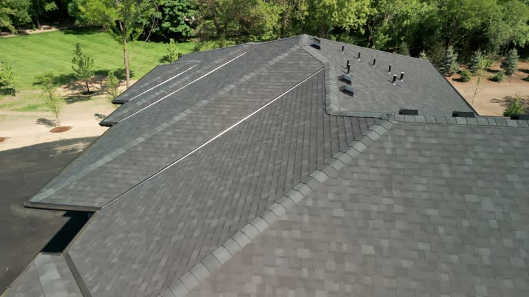 Best Chimney Flashing Repair  in Pinckney, MI
