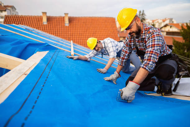 Best Roof Waterproofing  in Pinckney, MI
