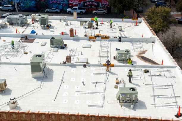 Best Asphalt Shingles Roofing  in Pinckney, MI